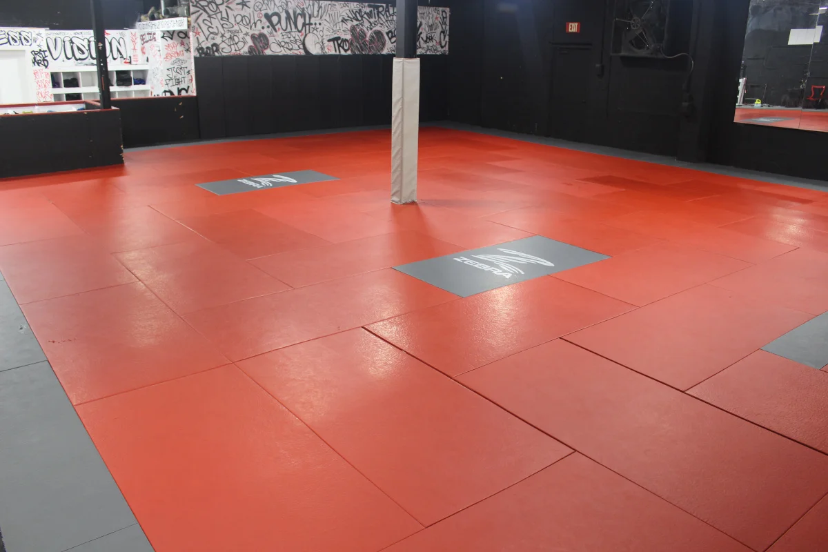 VISION Jiu Jitsu / Vision Fitness academy photo