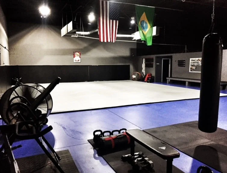 Apex Jiu-Jitsu Academy of Self Defense academy photo