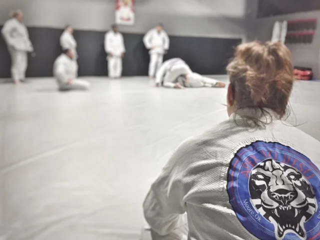 Apex Jiu-Jitsu Academy of Self Defense academy photo