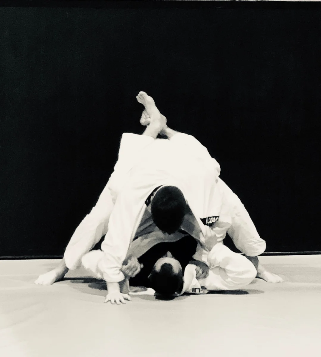 Apex Jiu-Jitsu Academy of Self Defense academy photo