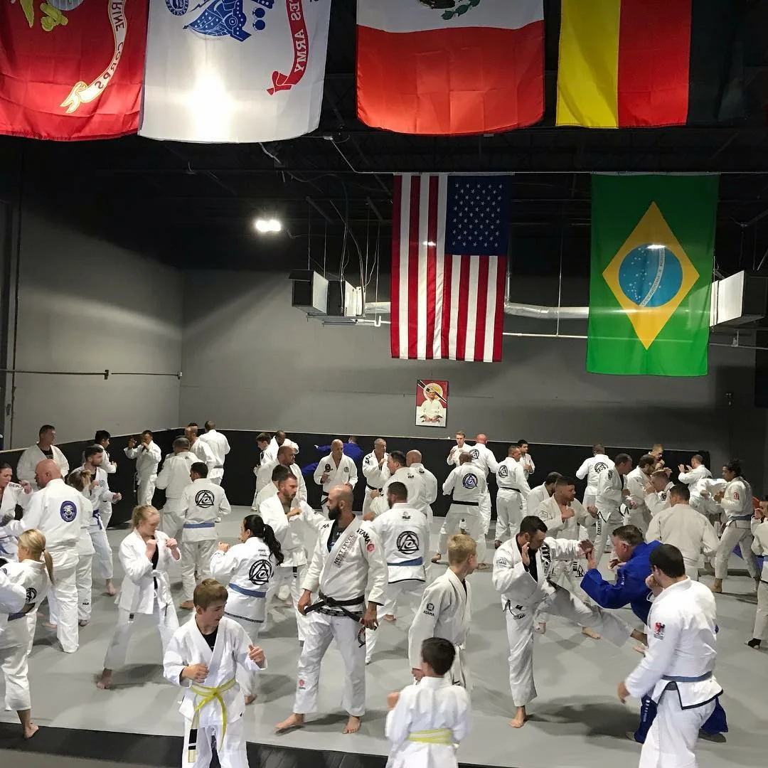 Apex Jiu-Jitsu Academy of Self Defense academy photo