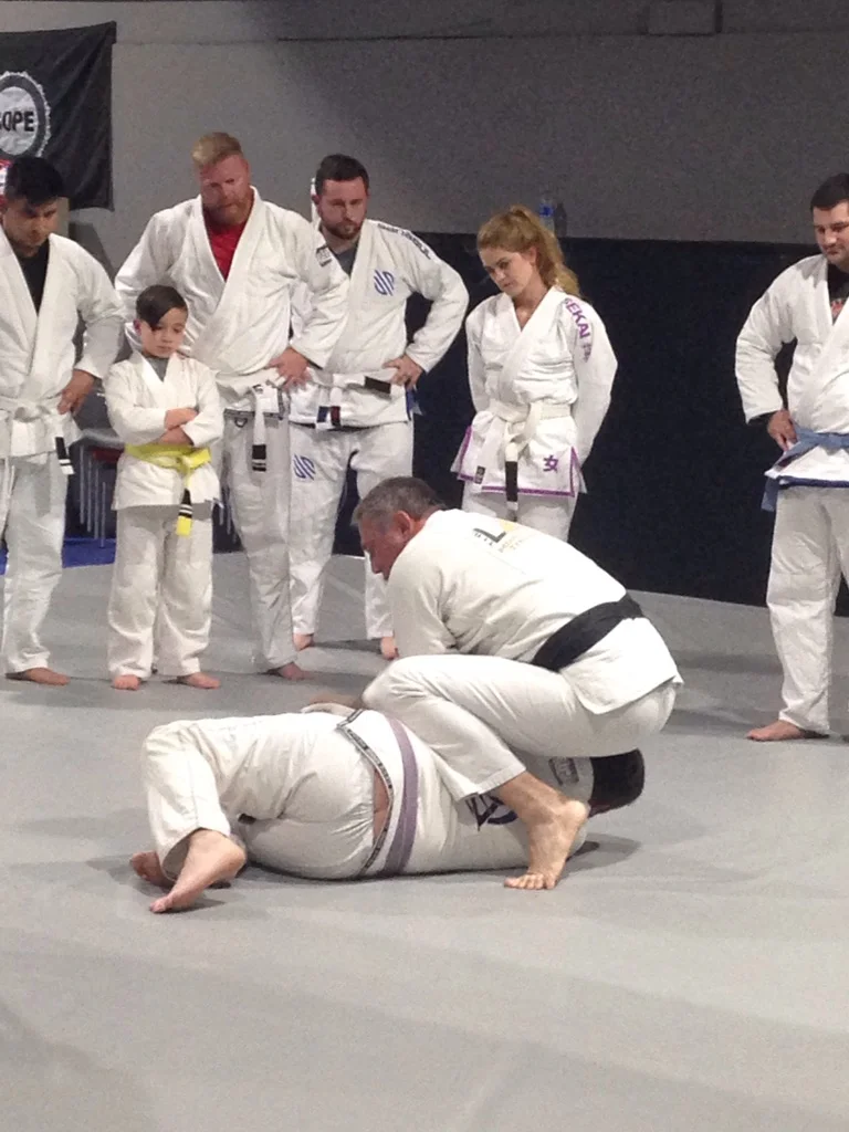 Apex Jiu-Jitsu Academy of Self Defense academy photo