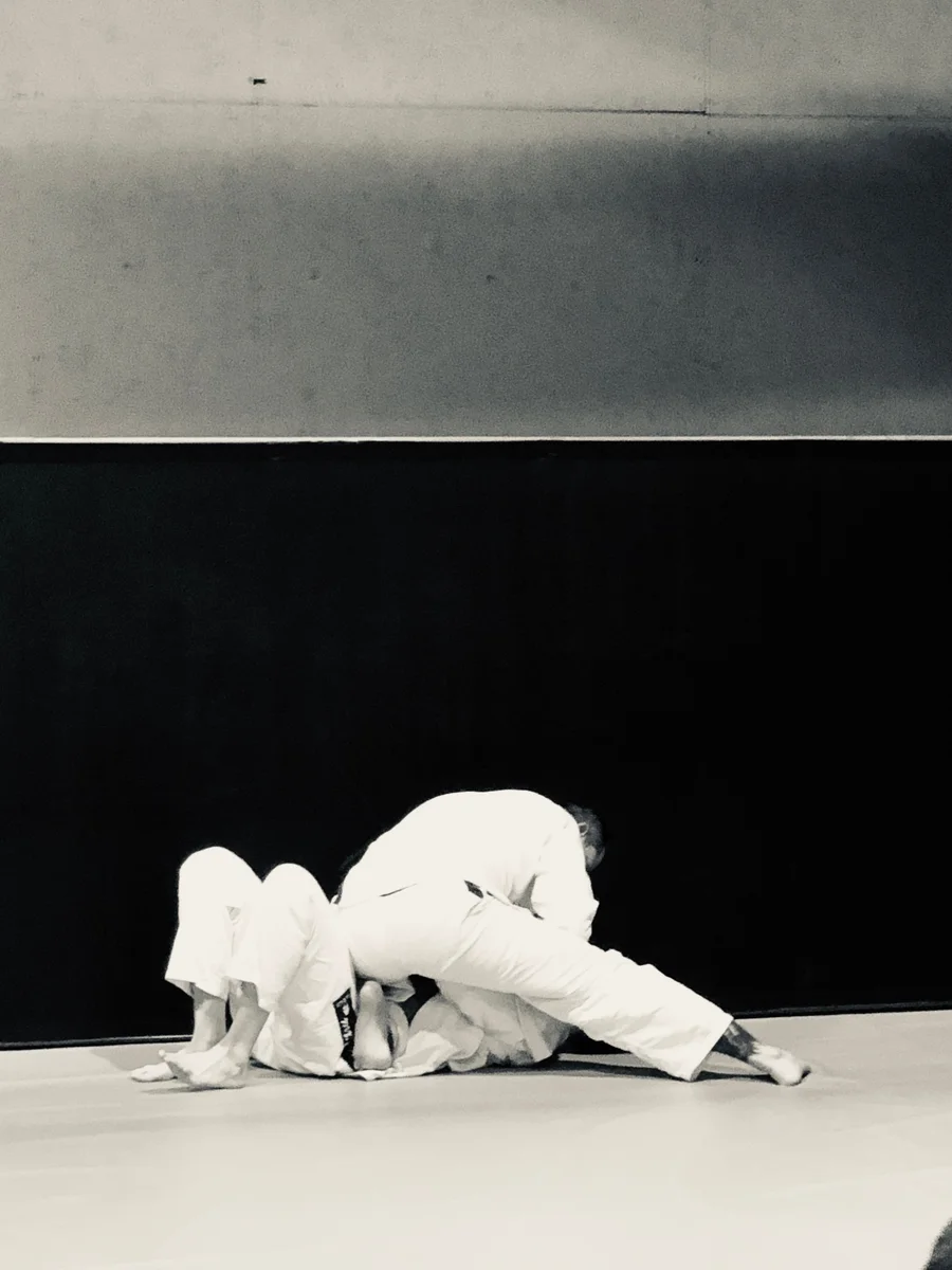 Apex Jiu-Jitsu Academy of Self Defense academy photo
