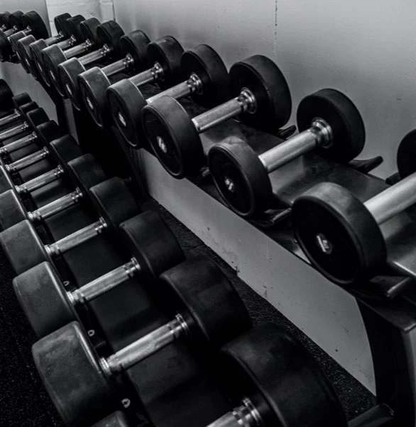 Carson Fight Fitness academy photo