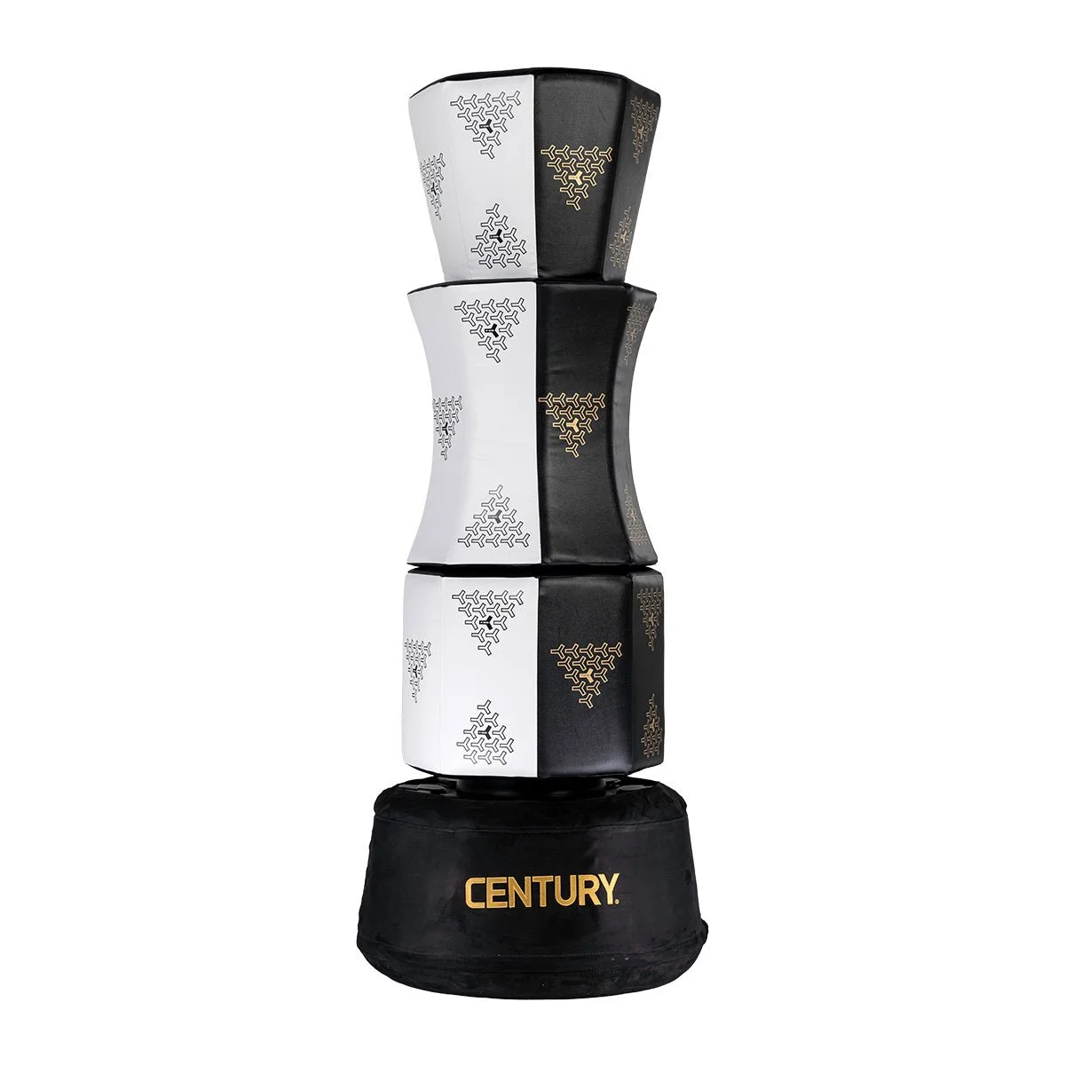 CENTURY Martial Arts academy photo