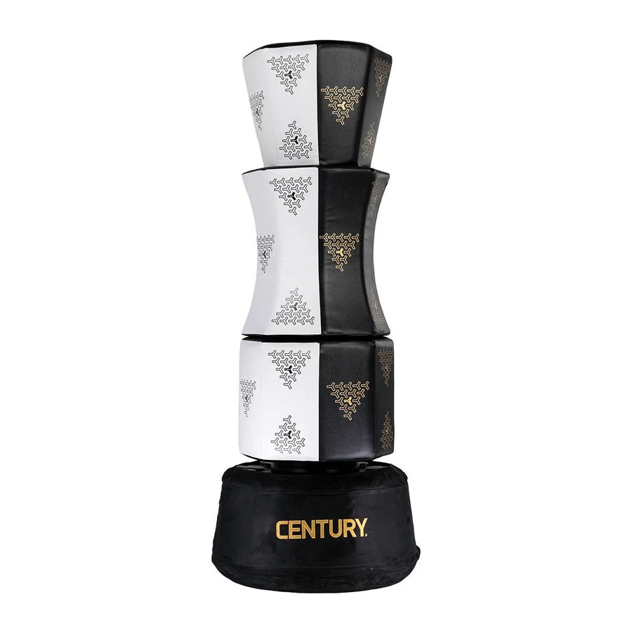 CENTURY Martial Arts academy photo