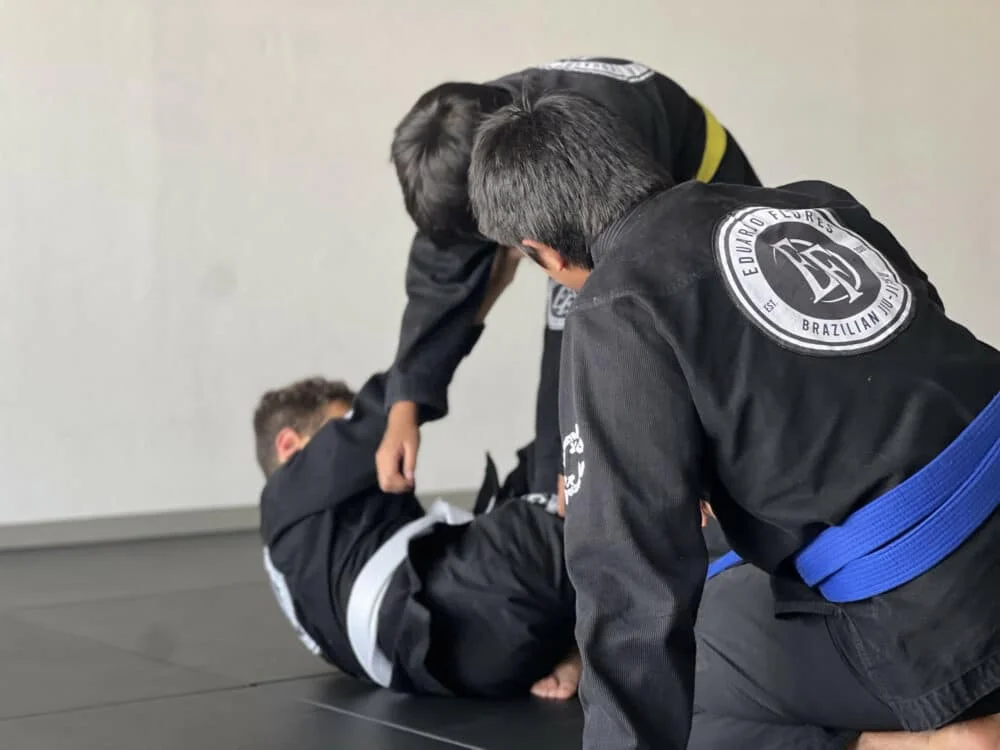 EF-Brazilian Jiu Jitsu visual