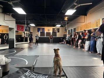 Gremlin Jiu-Jitsu academy photo