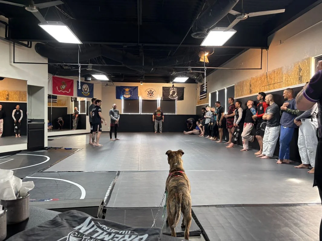 Gremlin Jiu-Jitsu academy photo
