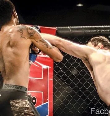 Gremlin Jiu-Jitsu academy photo