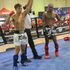 Killer Bees Kickboxing academy photo