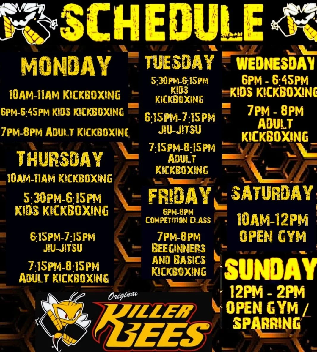 Killer Bees Kickboxing academy photo