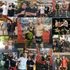Killer Bees Kickboxing academy photo
