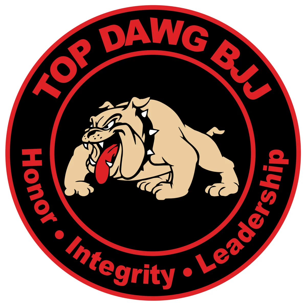 Top Dawg BJJ academy photo