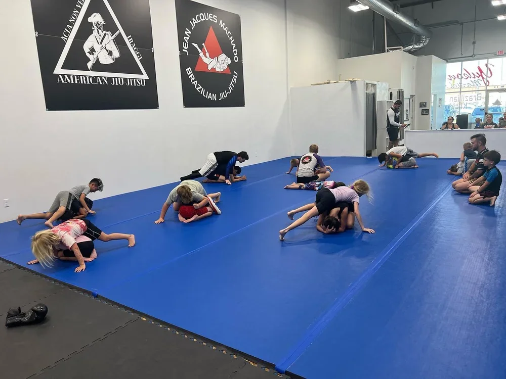 Transform Jiu Jitsu academy photo
