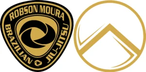 Veritas Jiu Jitsu academy logo