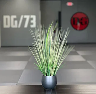 Dragon Gym Martial Arts & Fitness academy logo