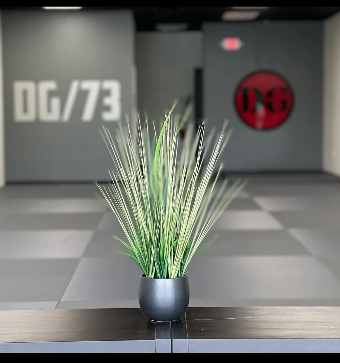 Dragon Gym Martial Arts & Fitness facility image