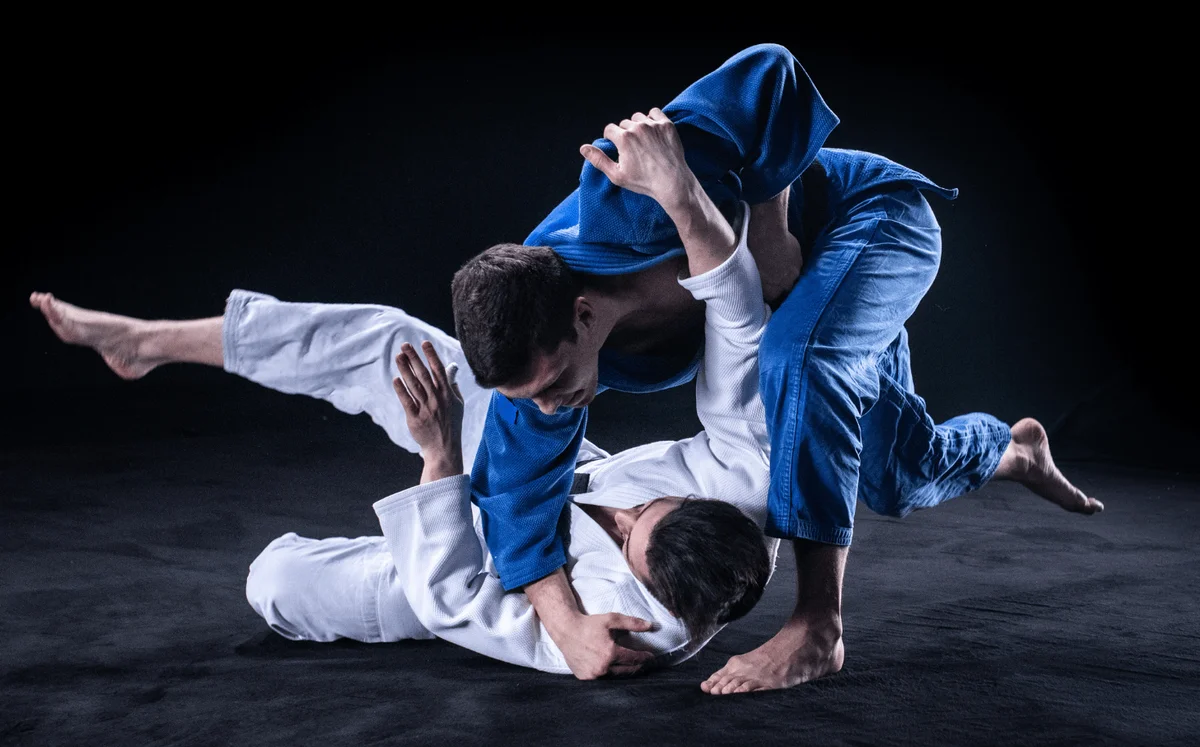LIONS HEART MIXED MARTIAL ARTS CENTER academy logo