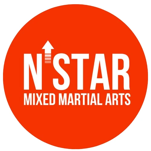 North Star Mixed Martial Arts academy logo