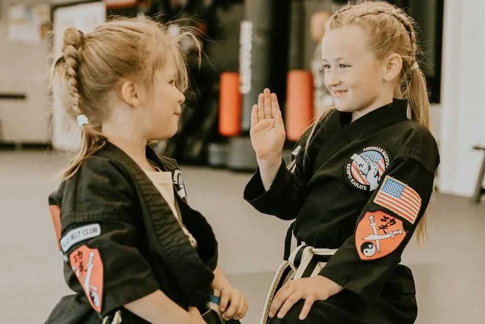 American Martial Arts Smithfield facility image