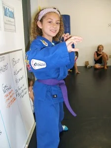 Villari’s Martial Arts Center facility image
