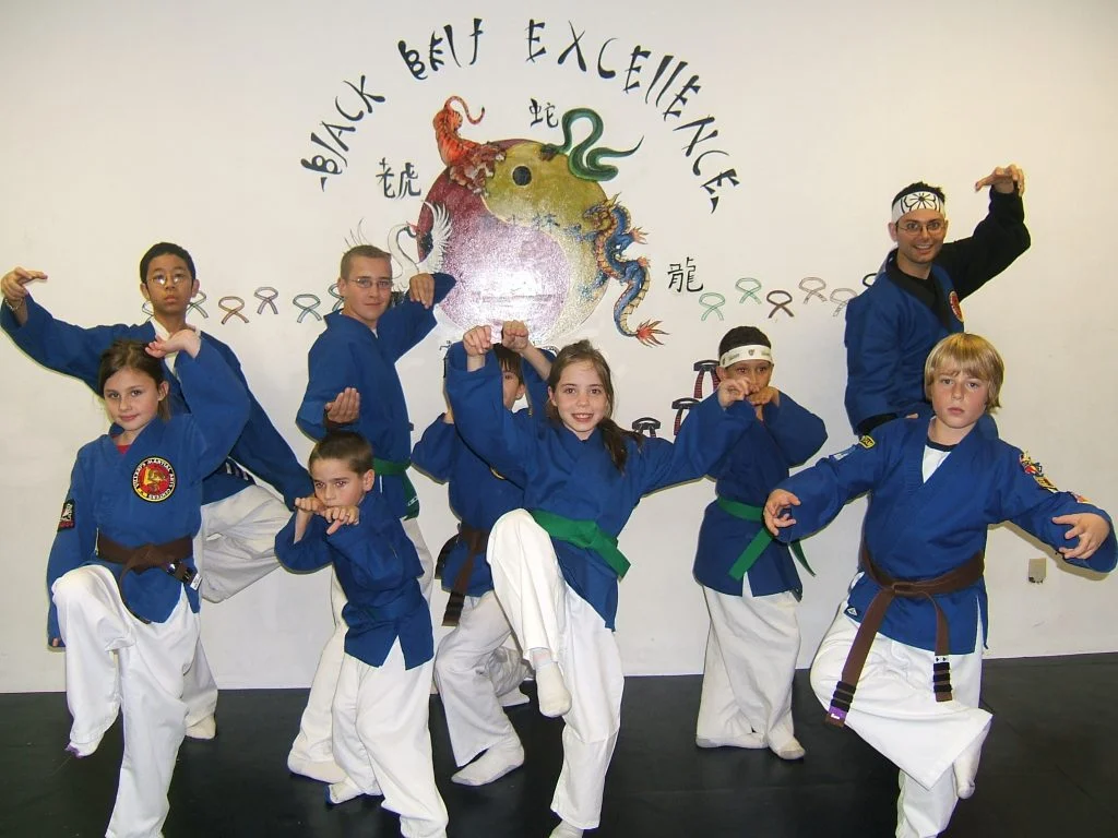 Villari’s Martial Arts Center facility image