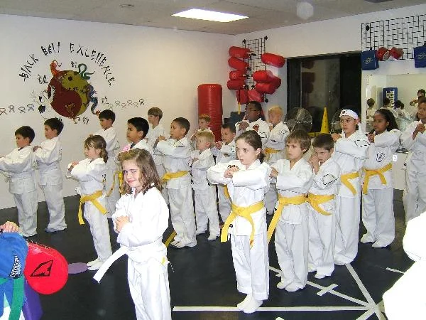 Villari’s Martial Arts Center facility image