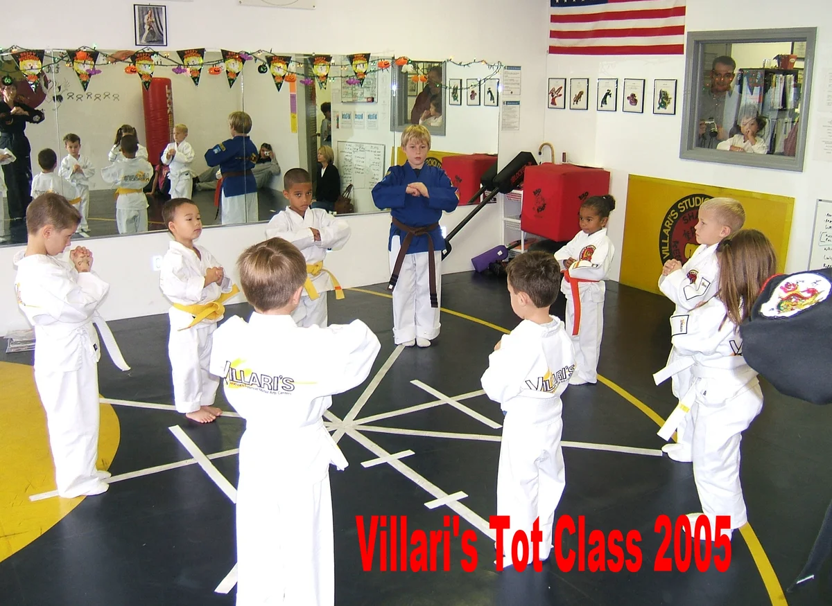Villari’s Martial Arts Center facility image