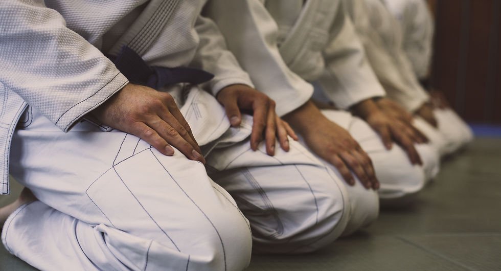 American Jiu-Jitsu Academy academy photo