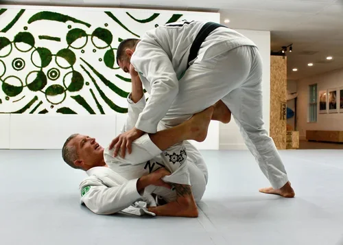 Beyond Jiu Jitsu Lifestyle / House Seven Group, LLC academy photo