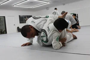 Beyond Jiu Jitsu Lifestyle / House Seven Group, LLC academy photo
