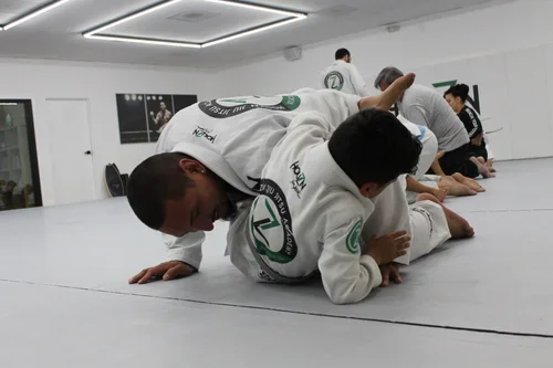 Beyond Jiu Jitsu Lifestyle / House Seven Group, LLC academy photo