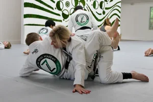 Beyond Jiu Jitsu Lifestyle / House Seven Group, LLC academy photo