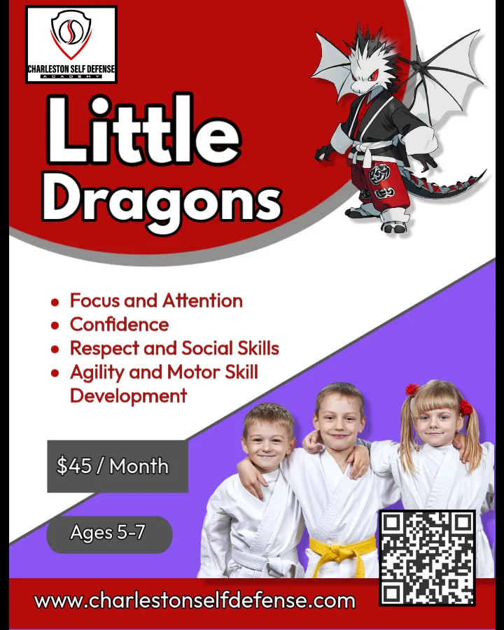 Charleston Self Defense Academy & MMA academy photo