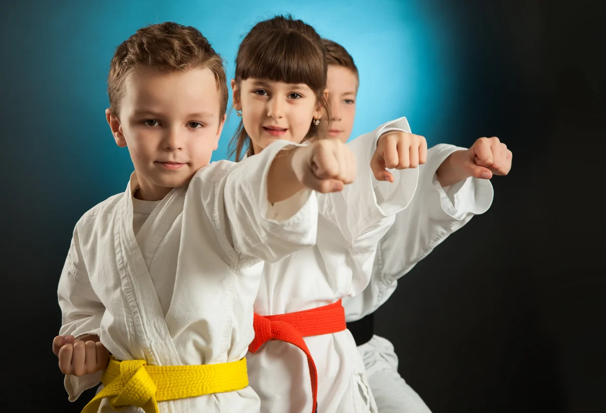 Charleston Self Defense Academy & MMA academy photo
