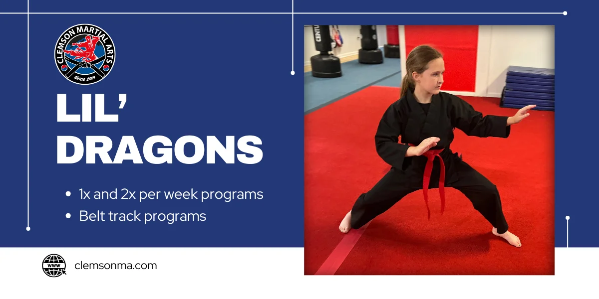 Clemson Martial Arts academy photo