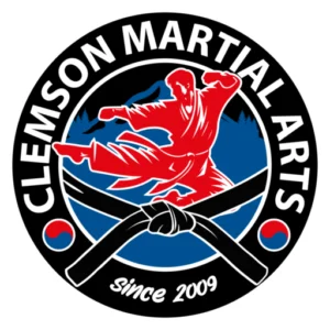 Clemson Martial Arts academy photo