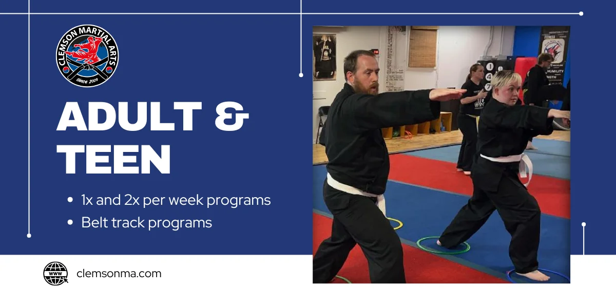 Clemson Martial Arts academy photo