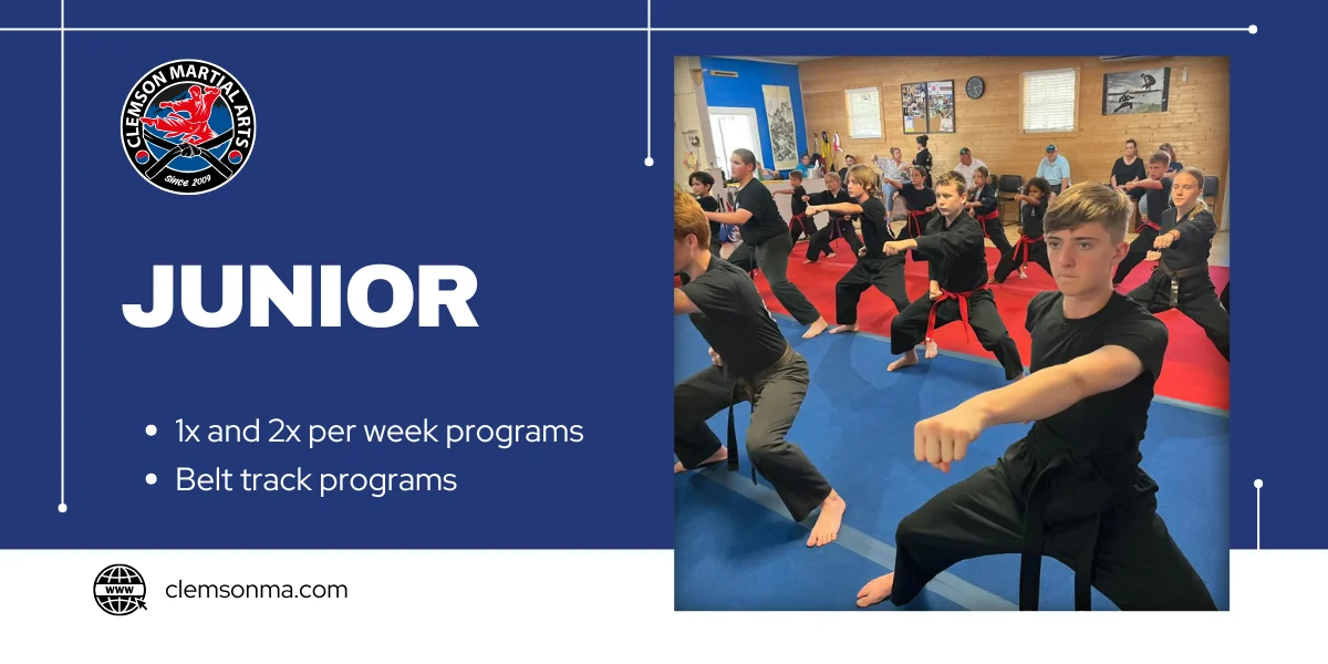 Clemson Martial Arts academy photo