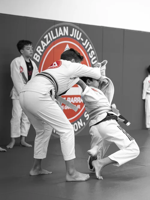 Gracie Barra West Ashley academy photo