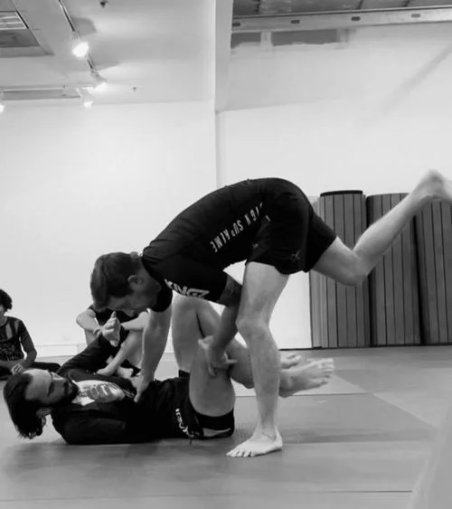 GRACIE JIU JITSU OF CHARLESTON academy photo