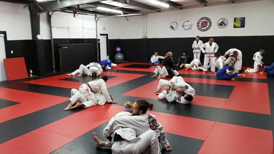 Great Grappling academy photo
