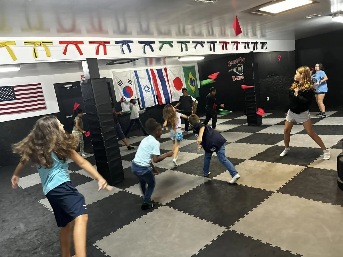 HOLY CITY American Martial Arts academy photo