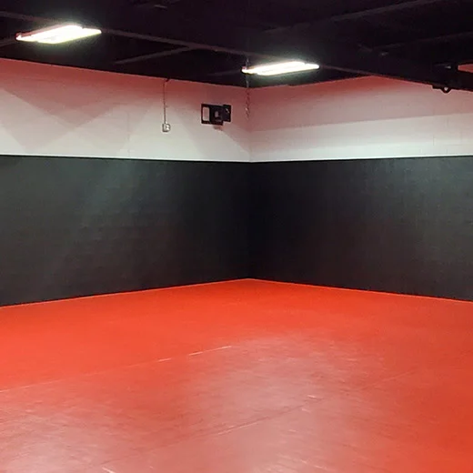 LINIC BRAZILIAN JIU-JITSU academy photo
