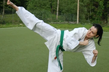 McElroy’s Martial Arts Academy academy photo