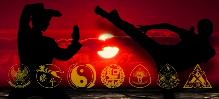 McElroy’s Martial Arts Academy academy photo