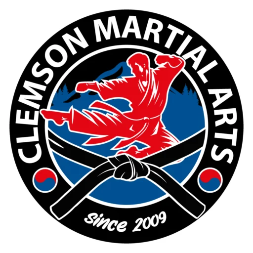 Clemson Martial Arts academy photo
