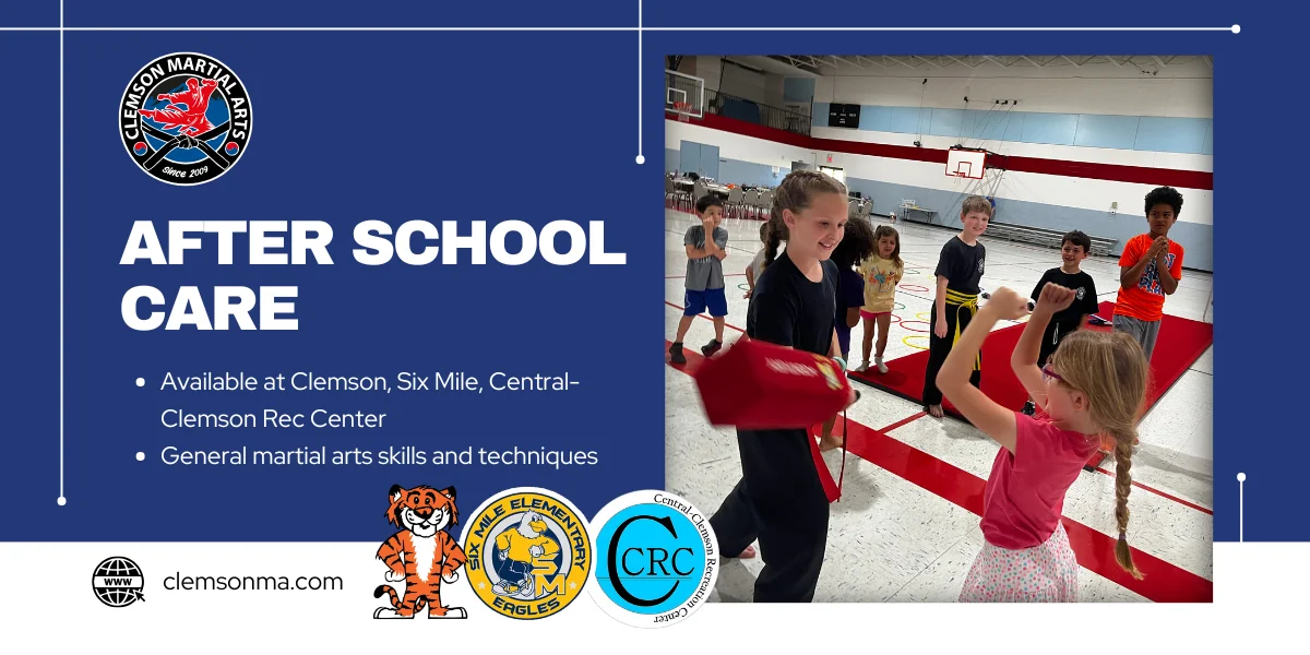 Clemson Martial Arts academy photo