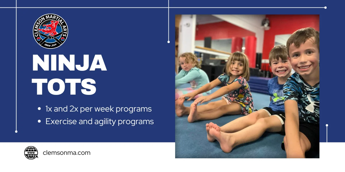 Clemson Martial Arts academy photo